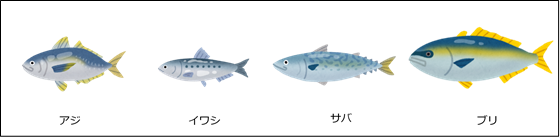 青魚.png