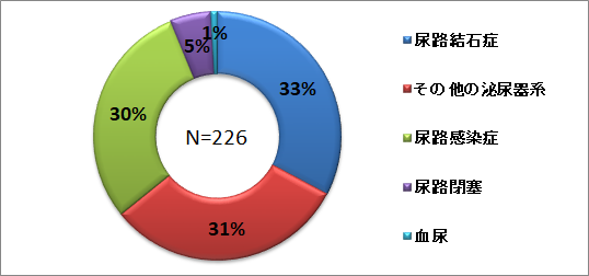 泌尿器系20242.png