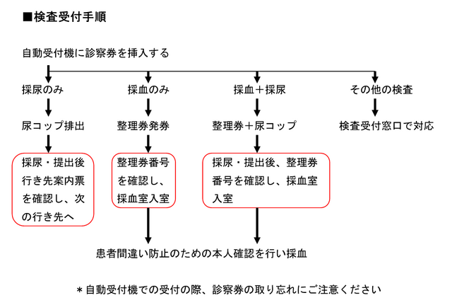 検査の流れ.png
