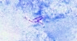 タイトルなし1.png
