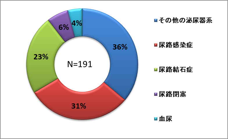 泌尿器系.png